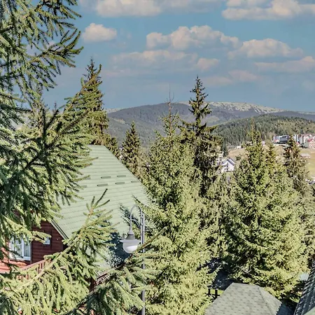 Bukovel Hotel Hotel 3*