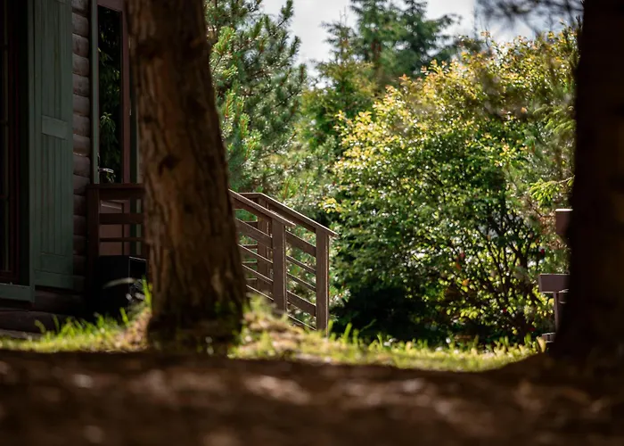 Bukovel Hotel Bukovel