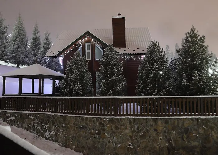 Bukovel Hotel Ξενοδοχείο 3*