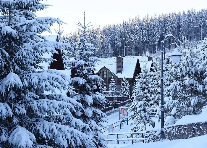 Ξενοδοχείο Bukovel Hotel